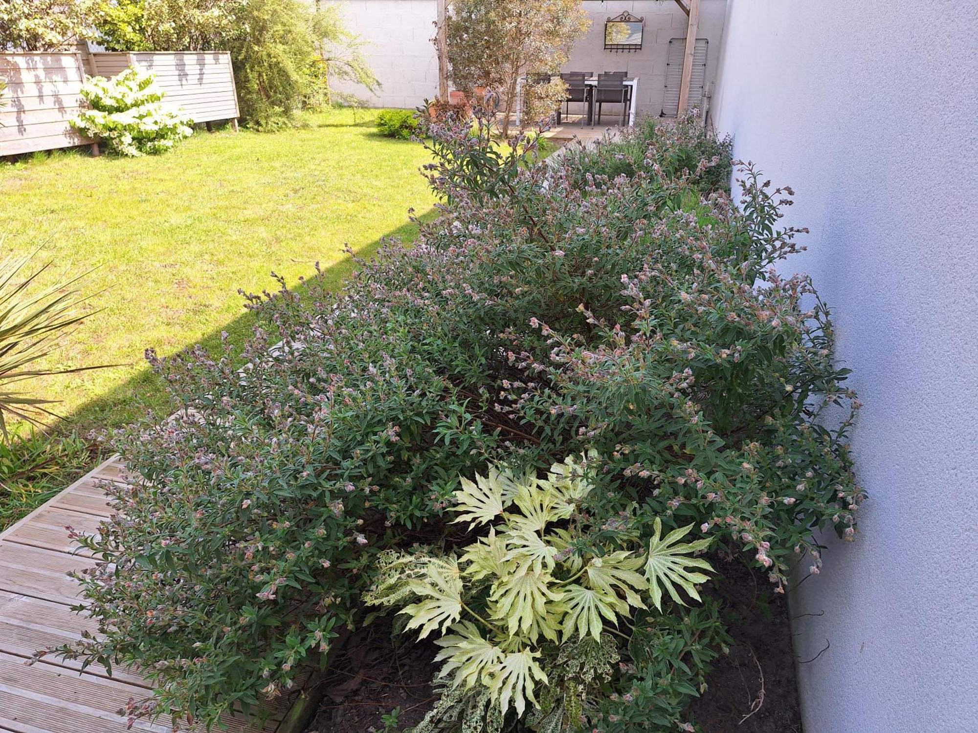 Planchesdisa Villa Сен-Пер-сюр-Мер Екстериор снимка